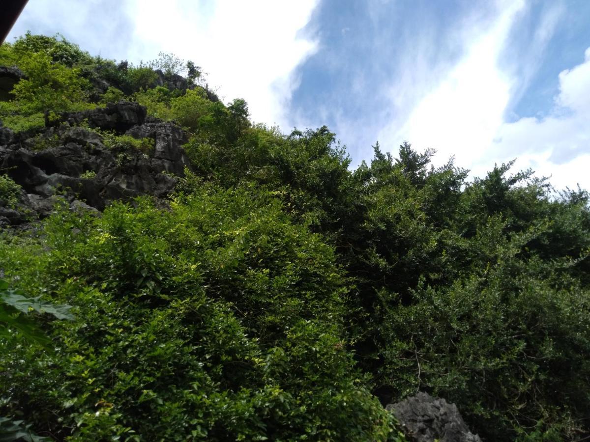 Ali Homestay 닌빈 외부 사진